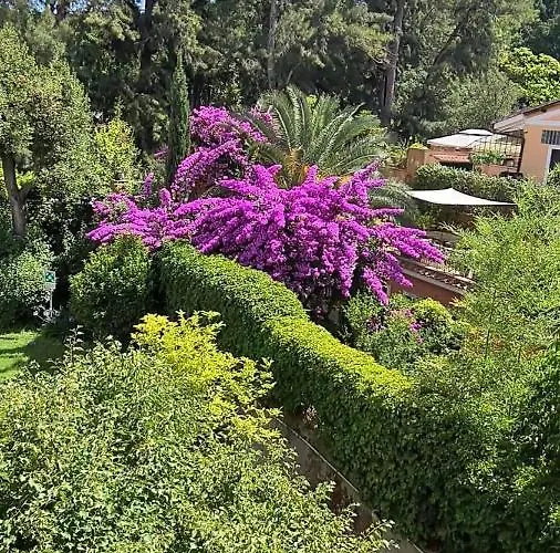 Bed & Breakfast Riari Garden Rome